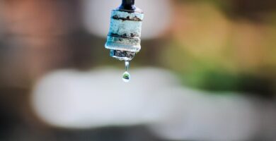las consecuencias de la escasez de agua pueden ser fatales